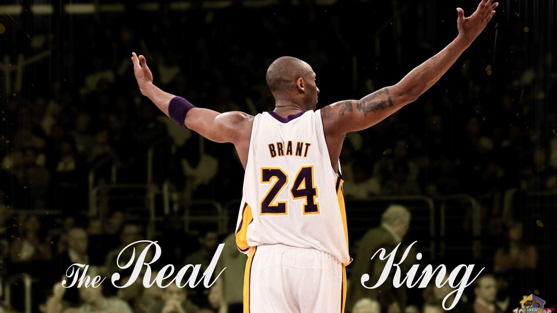 当足球天才降临NBA之夜，加克波的跨界统治与体育精神的永恒对话